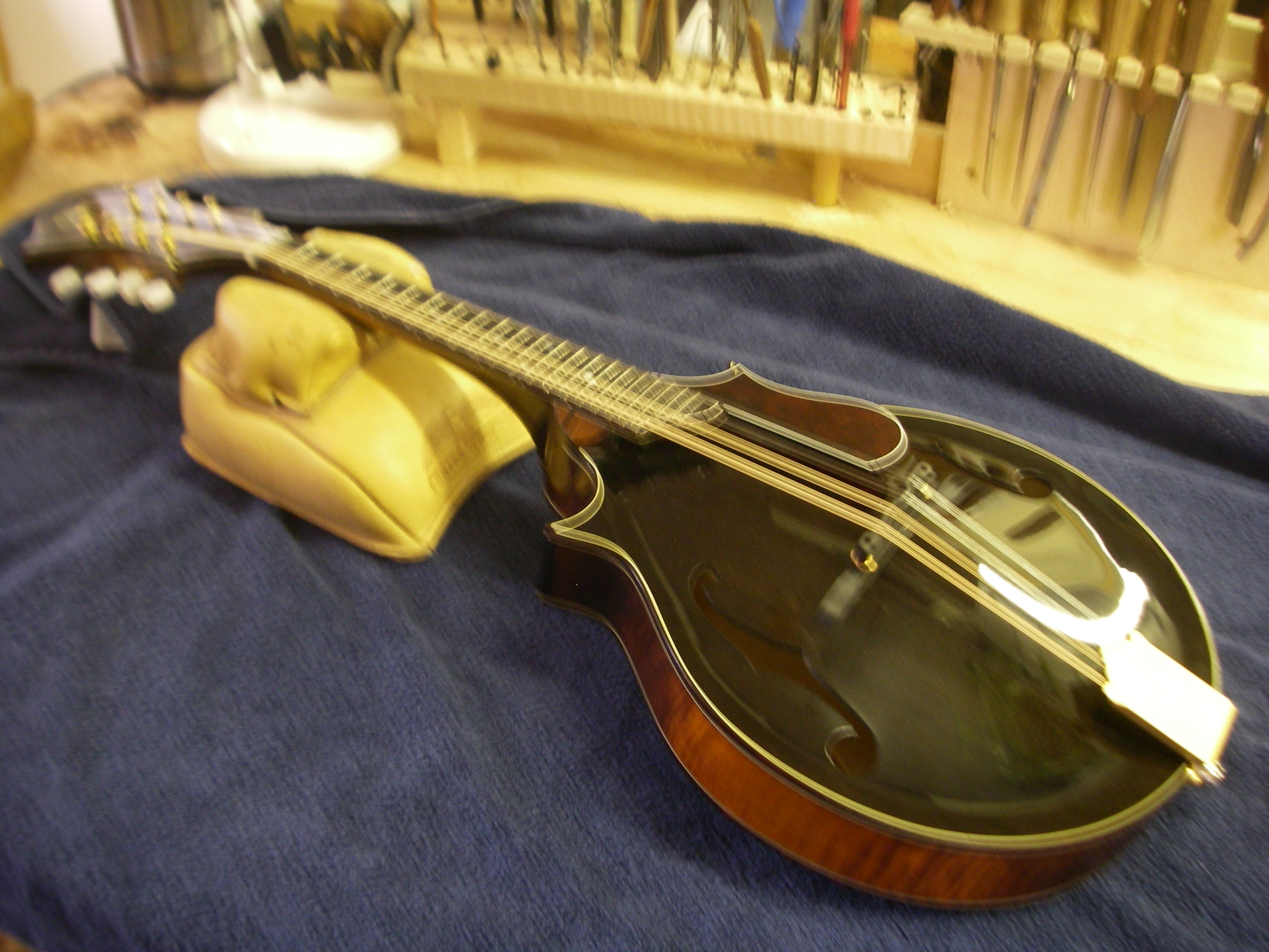 Clark Mandolins’ Mandolas and Mandocellos | Clark Mandolins